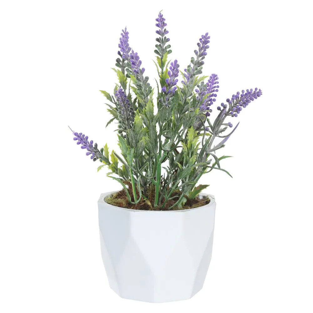 Arranjo de Flor Lavanda 22X10cm - Florarte
