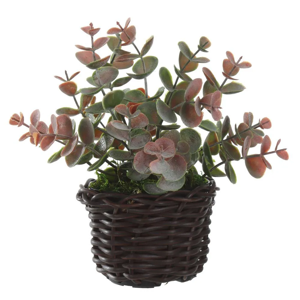 Arranjo Eucalipto Florarte 19Cm Verde Outono - Eucalipto