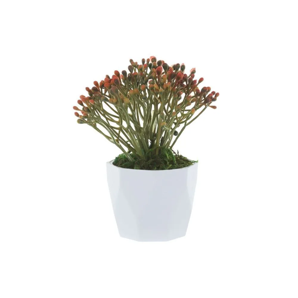 Arranjo Grass Florarte 15Cm - Sortido