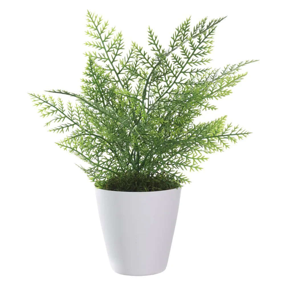 Arranjo Samambaia Florarte 36Cm Verde - Samambaia