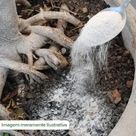 Fertilizantes para Jardim 400G Forth - Flores