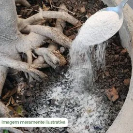 Fertilizantes para Jardim 400G Forth - Hortaliças