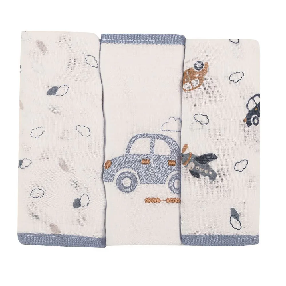 Fralda Estampada com 3 Peças Baby - Carros