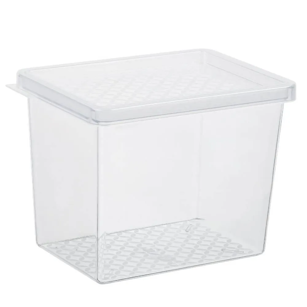 Organizador Multiuso com Tampa Uz 2,9 Litros - Transparente