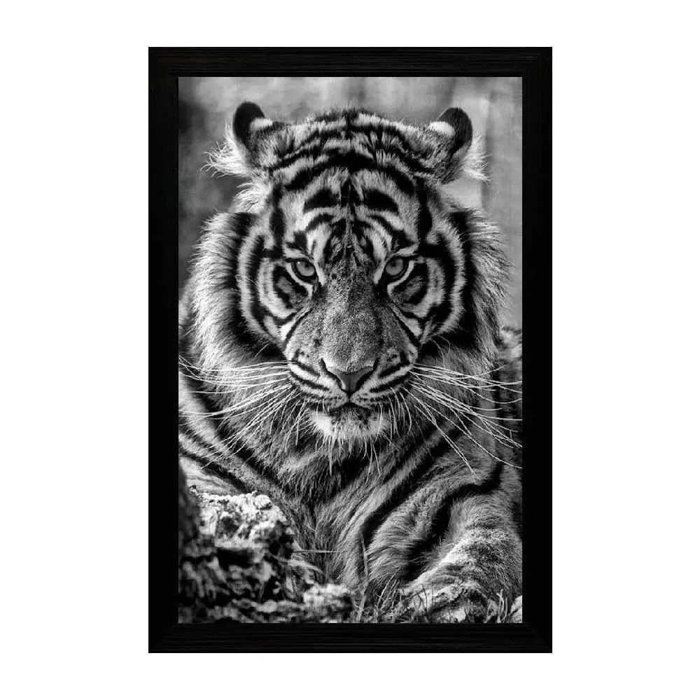 Quadro Retangular 33Cm Fx Quadros - Tigre