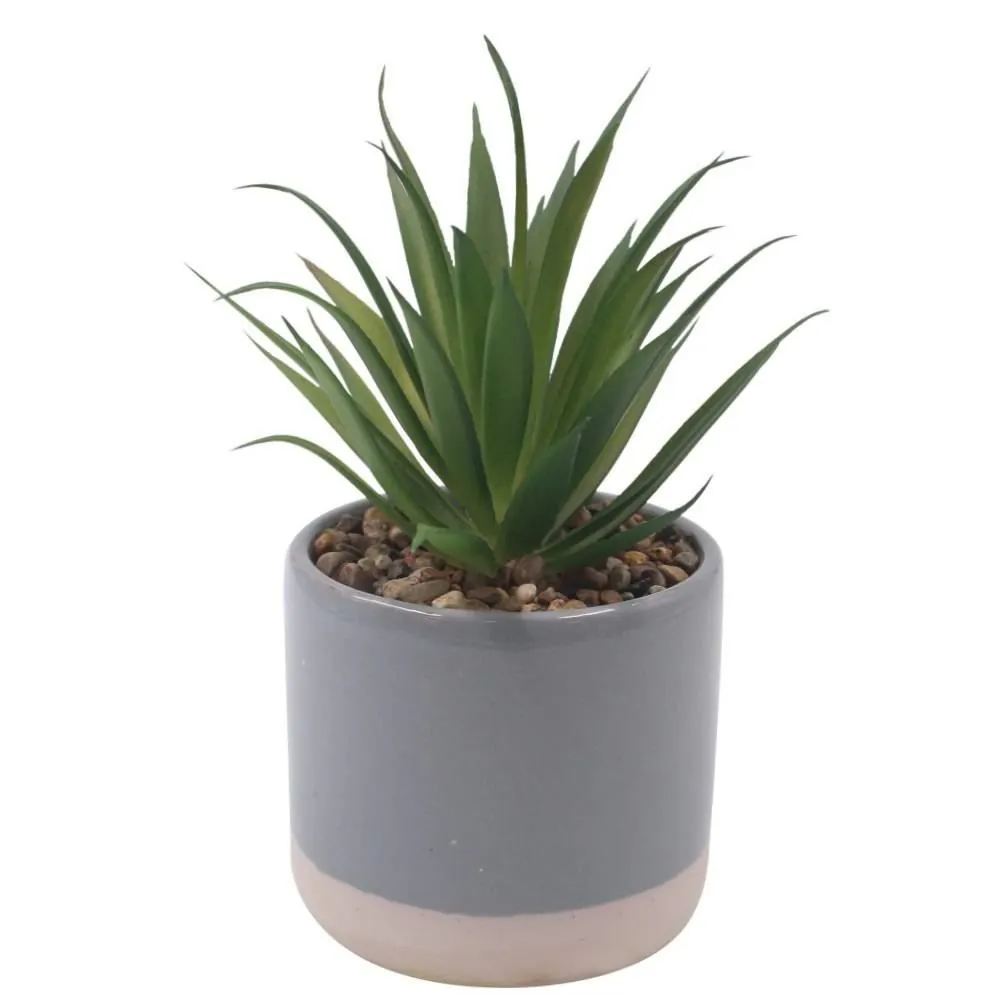 Suculenta Artificial com Vaso de Cerâmica 16Cm - Sortido