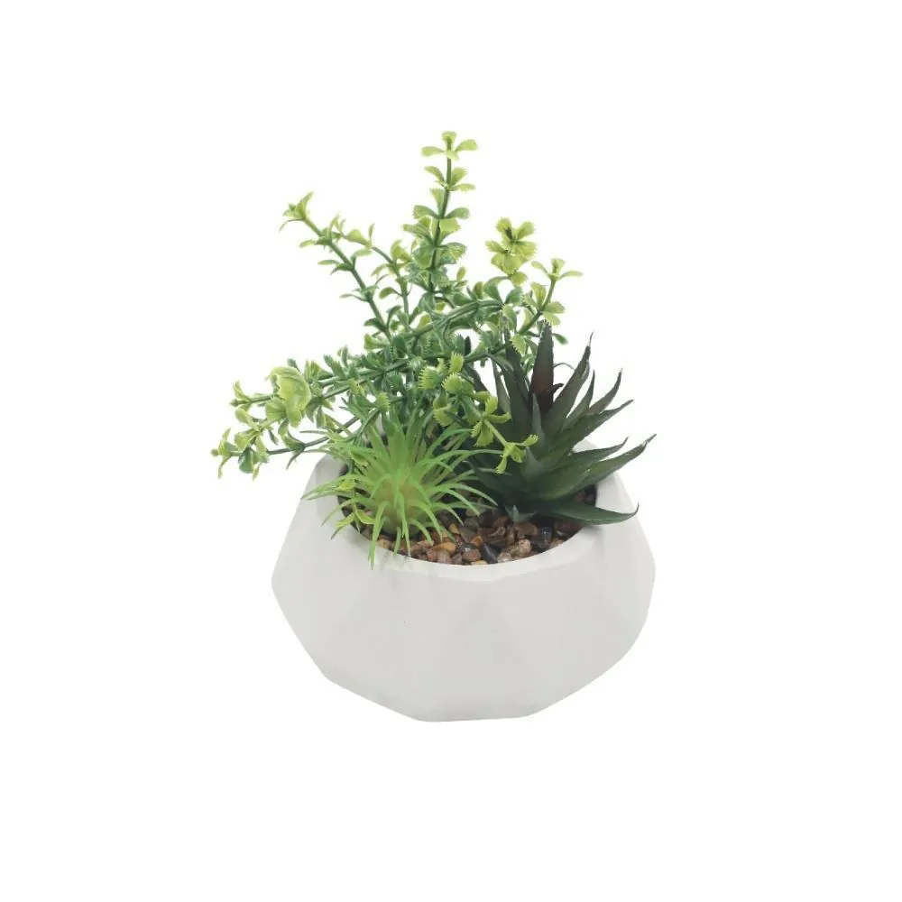 Suculenta Artificial com Vaso de Cimento 12 Cm - Branco