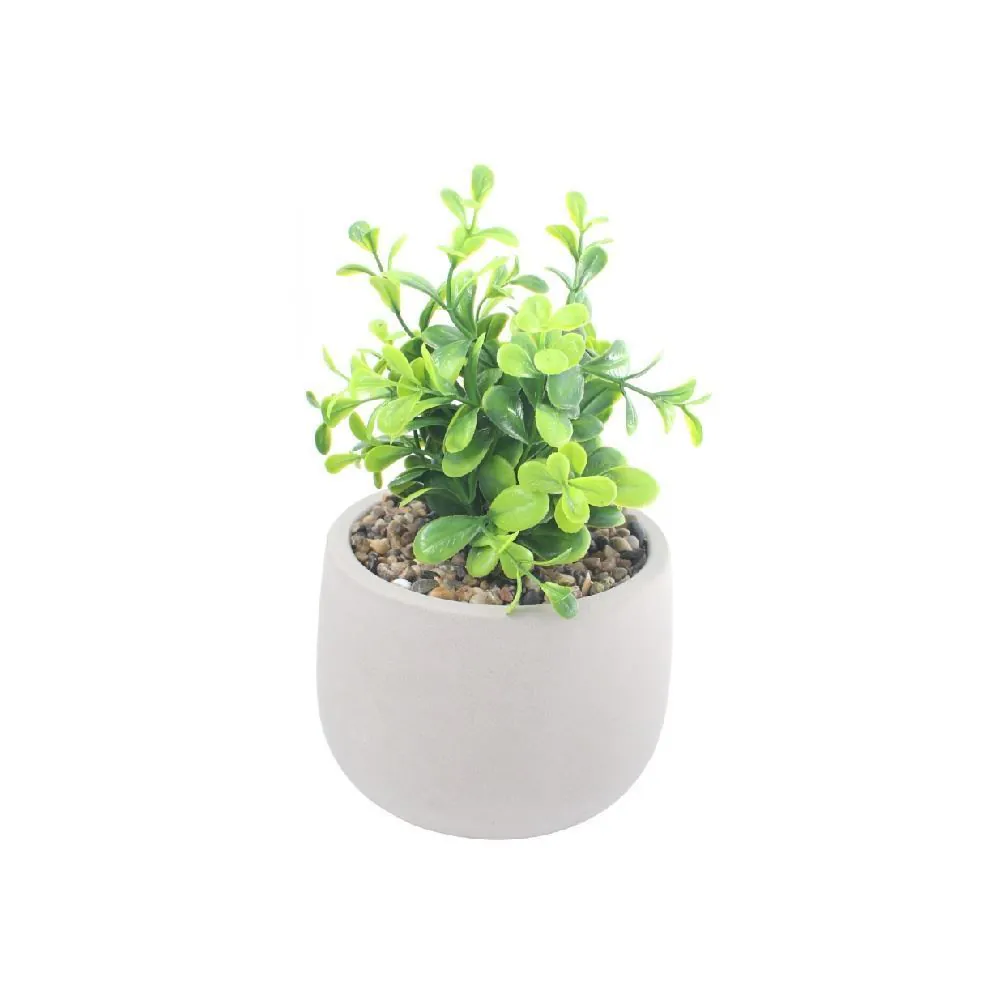 Suculenta Artificial Vaso Cimento 16Cm - Sortido