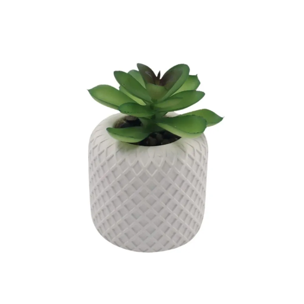 Suculenta Artificial Vaso de Cimento 10Cm - Sortido