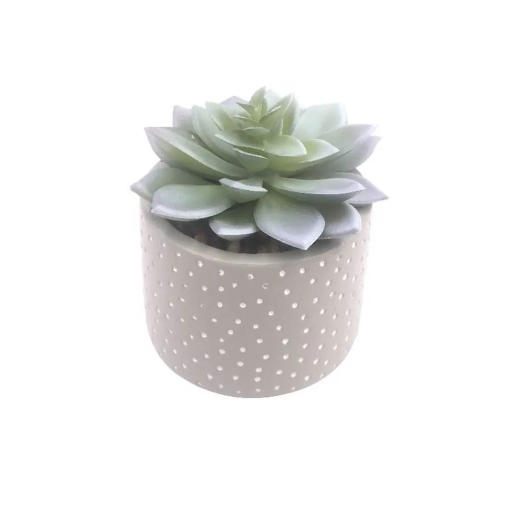 Suculenta com Vaso 12,5Cm - Cinza