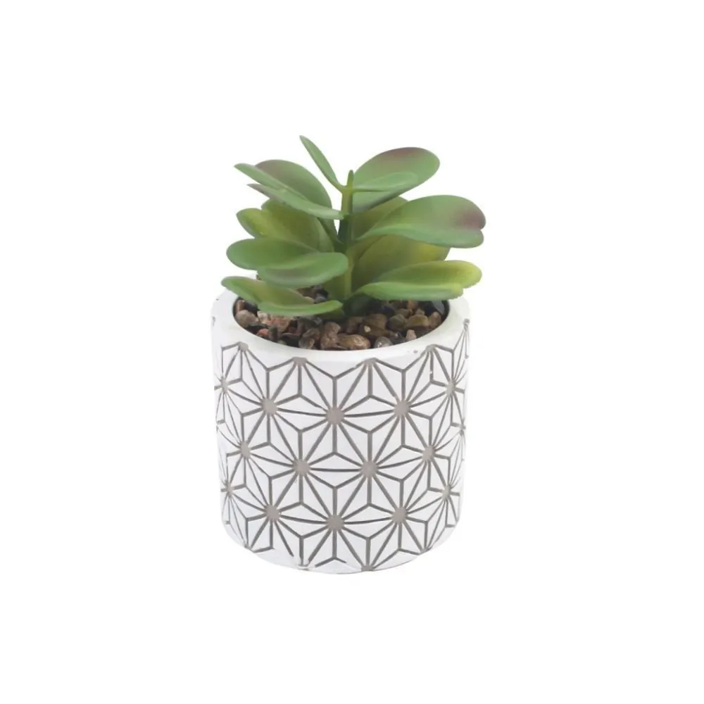 Suculenta com Vaso de Cimento 10,4Cm - Sortido