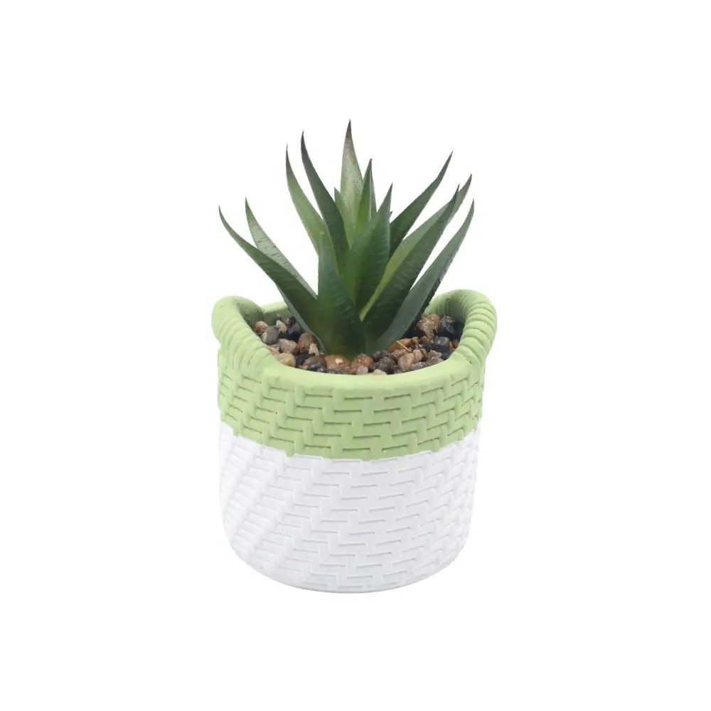 Suculenta com Vaso de Cimento 10,5Cm - Sortido