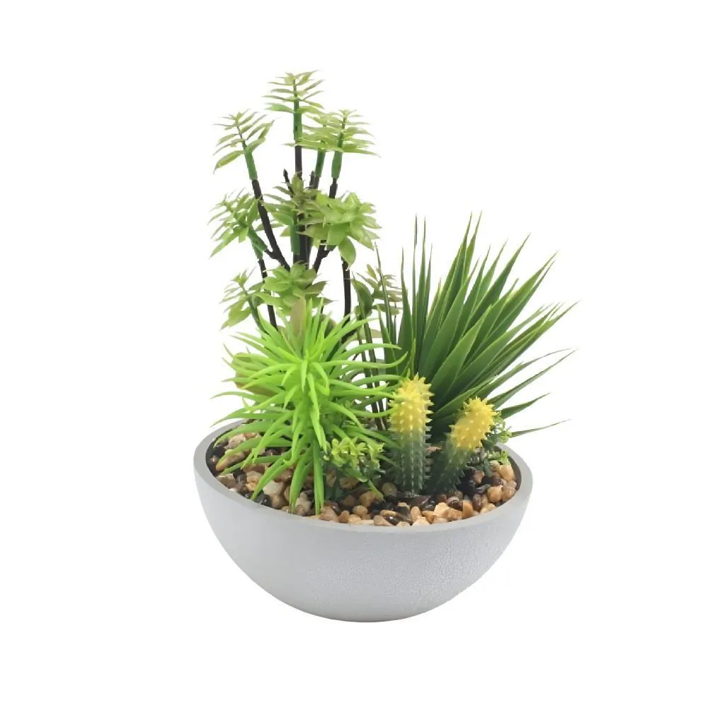 Suculenta com Vaso 24Cm - Sortido