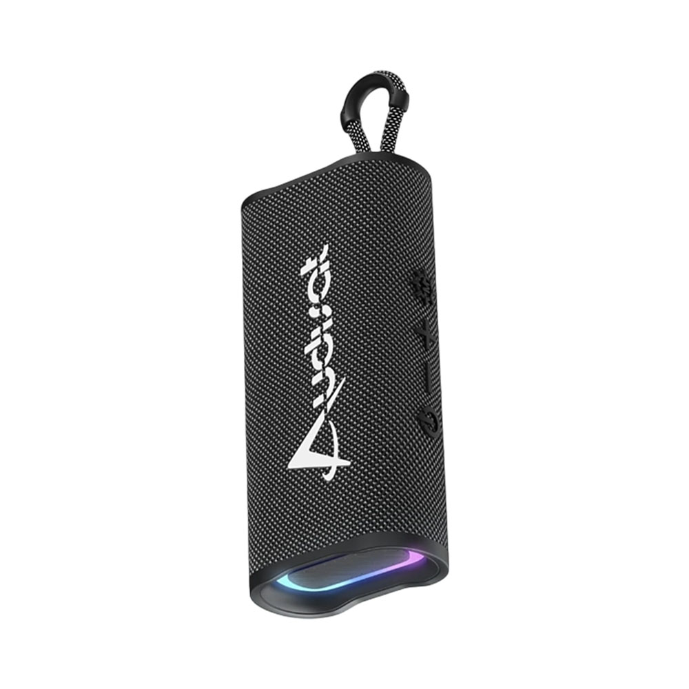 Speaker Audisat X10