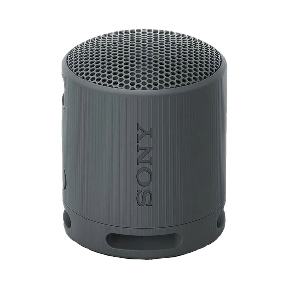 Alto-falante Sony SRS-XB100 Preto