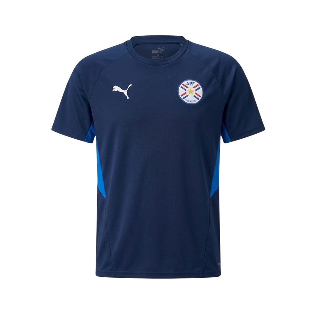 Camiseta Puma 69704102 Apf Masculino