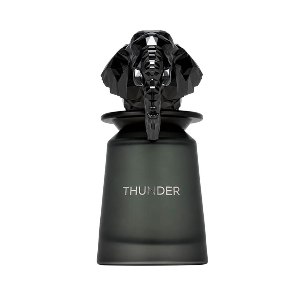 Perfume French Avenue Thunder Edp 100ML