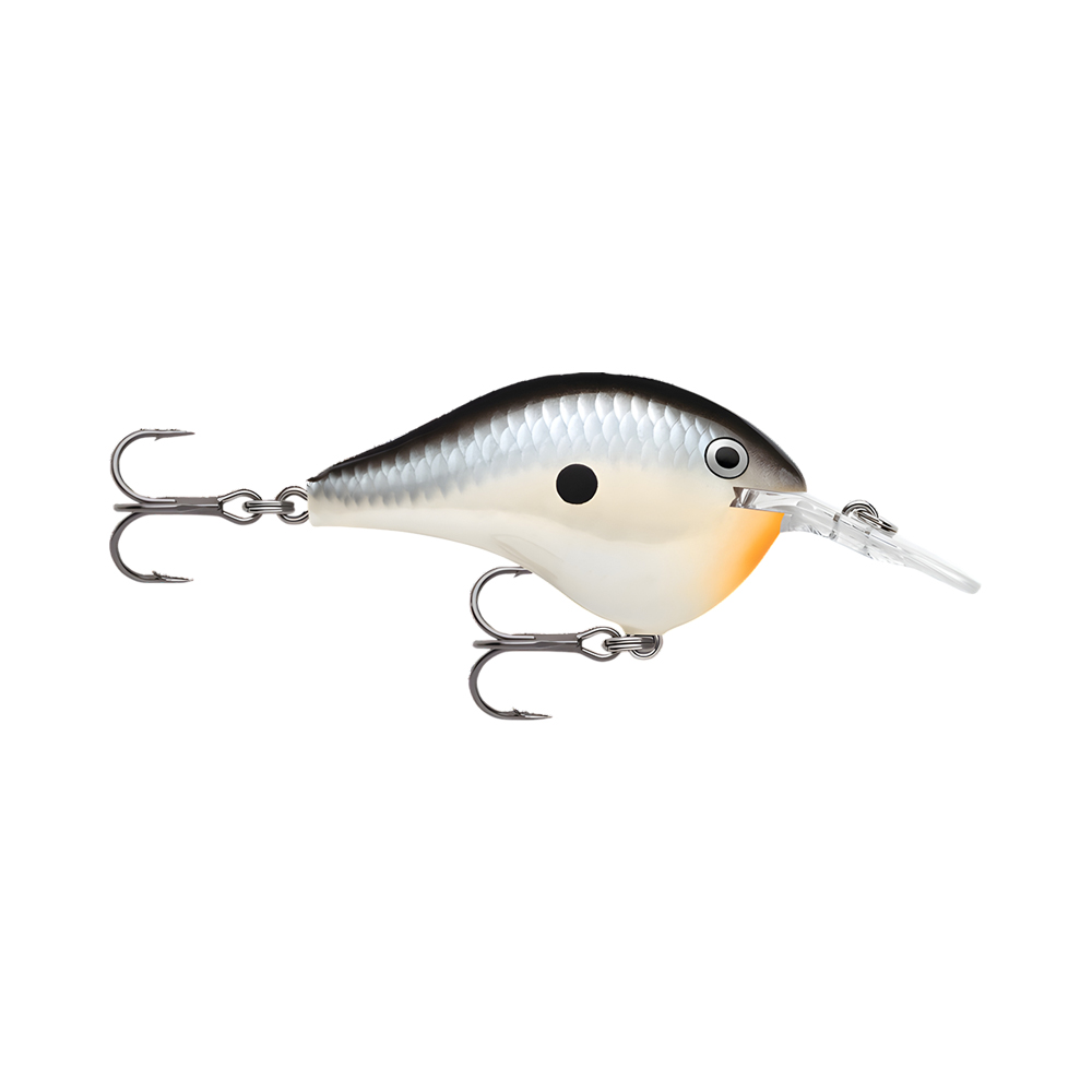Señuelo Artificial Rapala Crank Bait DT-08 Pngn