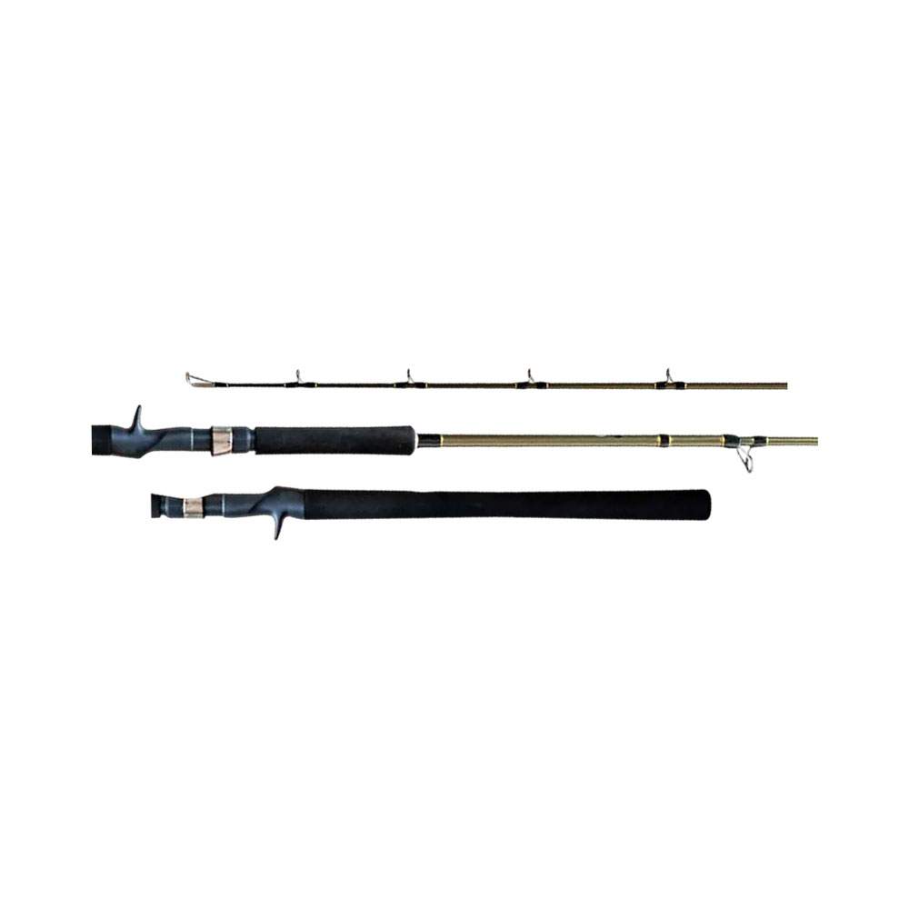 Vara para Carretilha Shimano Solara SLSC60XXH 30-80 LB 1,80 M